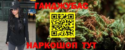 шишки Бийск