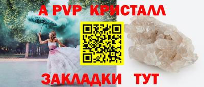 шишки Бийск